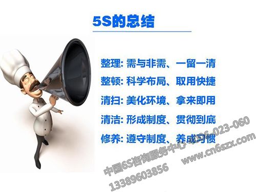 5S的總結