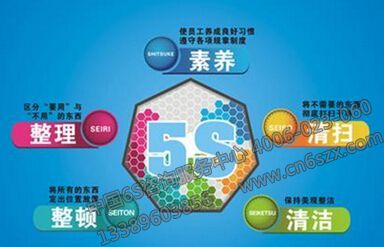 5S活動內(nèi)容